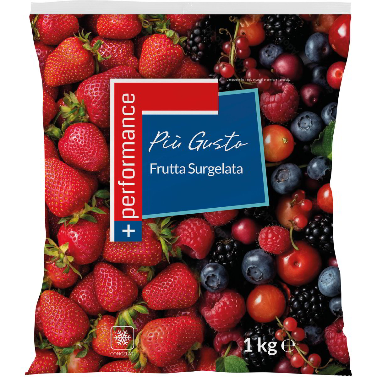 Vendita Frutti Di Bosco E All Ingrosso Surgelati Frutta All Ingrosso